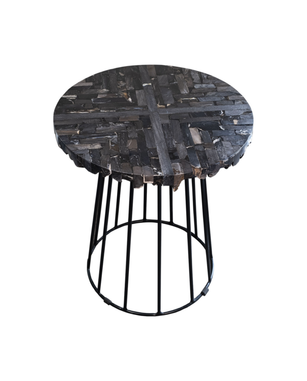 Modern Petrified Wood Side Table with Black Metal Base